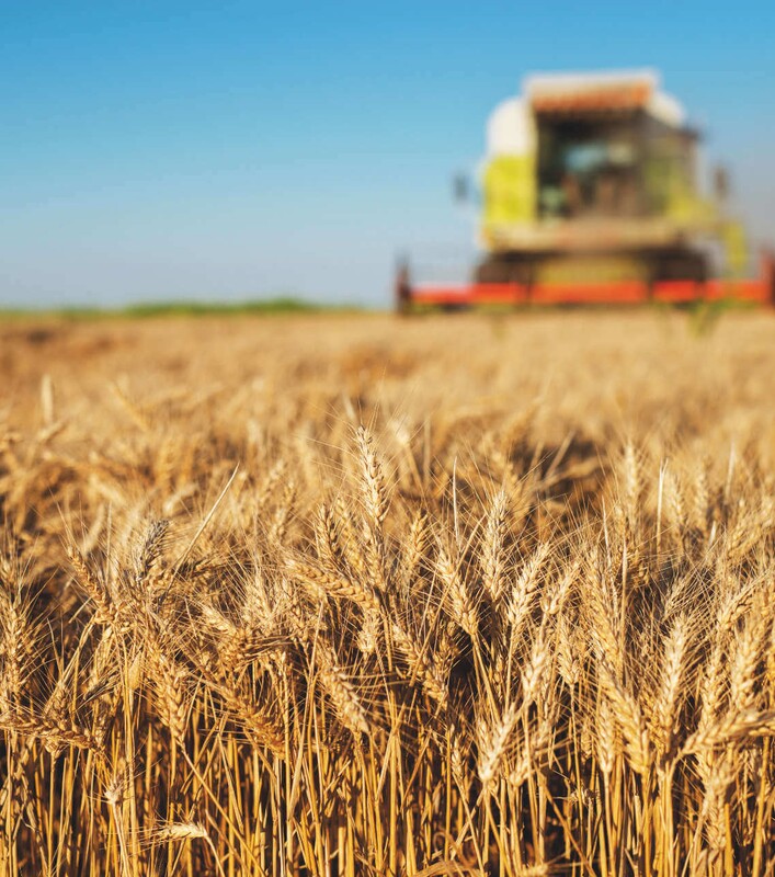 Farming